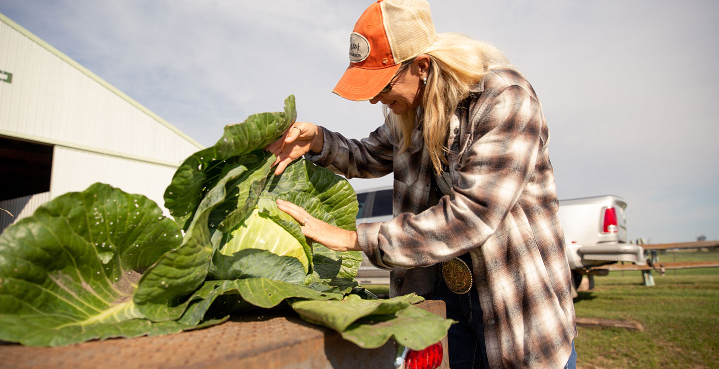 A woman with blonde hair is looking at fresh green lettuce at the back of a truck.